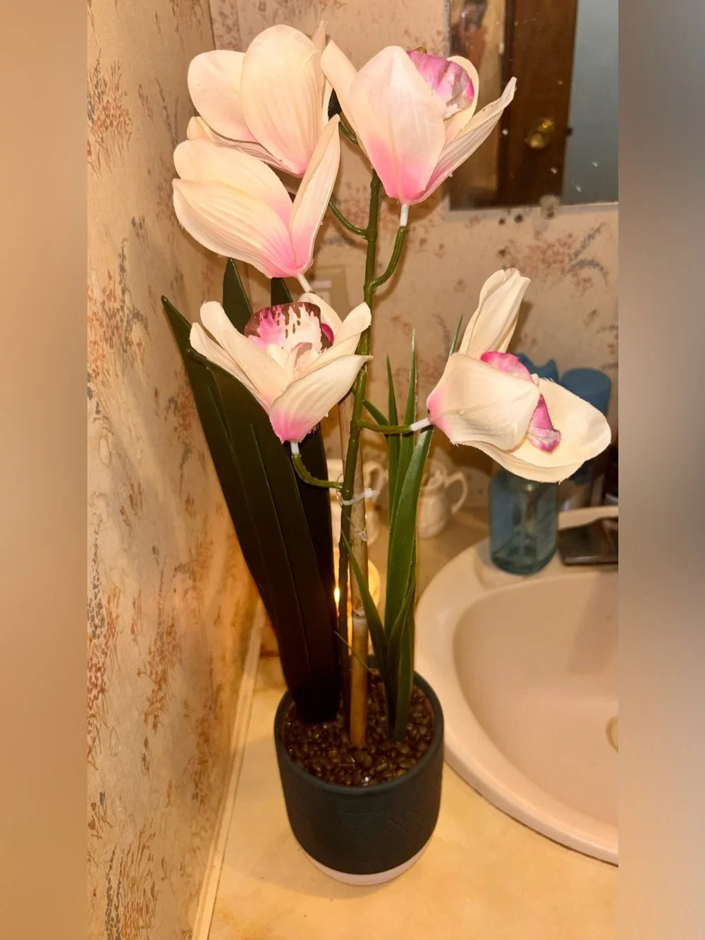 Artificial Orchid Stem in White and Pink - Home Accents